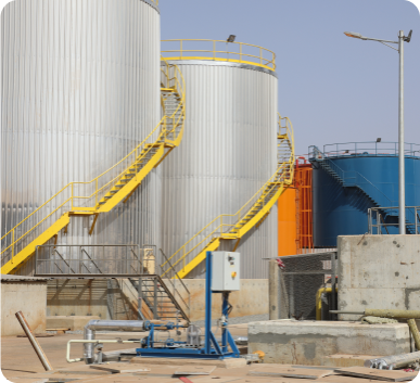 photo_5780657026001649127_x 1 (1)